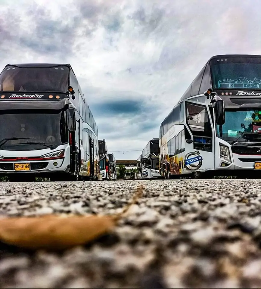 Bus fleet